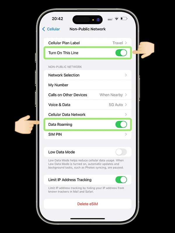 iPhone cellular data options with Data Roaming turned on